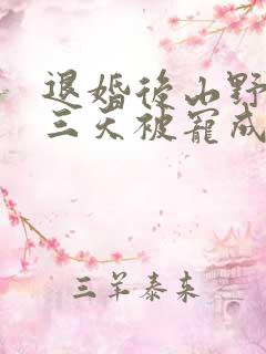 退婚后山野糙汉三天被宠成宝小说
