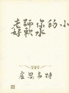 老师你的小兔子好软水
