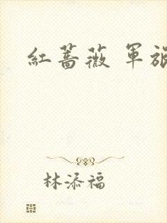 红蔷薇 军旅文
