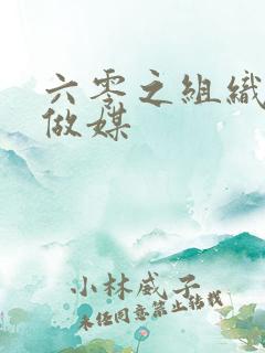 六零之组织给我做媒