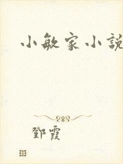 小敏家小说