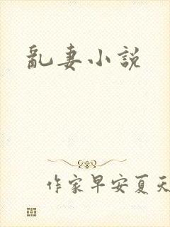 乱妻小说