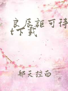 良辰讵可待txt下载