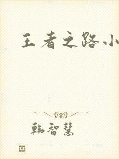 王者之路小说