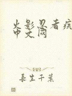 火影忍者疾风传中文网