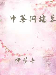 中华网揭幕内参