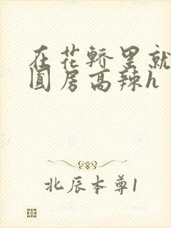 在花轿里就开始圆房高辣h