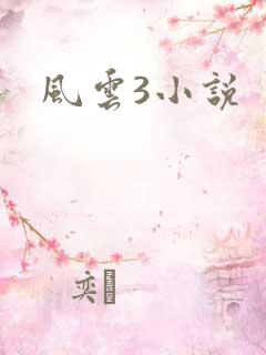 风云3小说