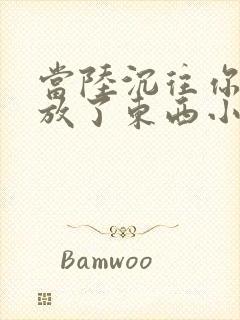 当陆沉往你里面放了东西小玩具