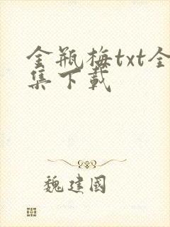 金瓶梅txt全集下载