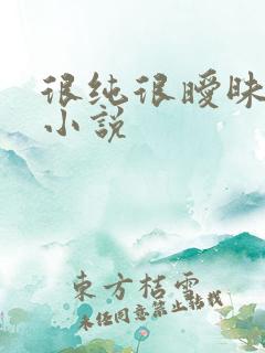 很纯很暧昧有声小说