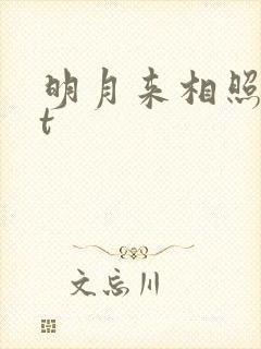 明月来相照txt