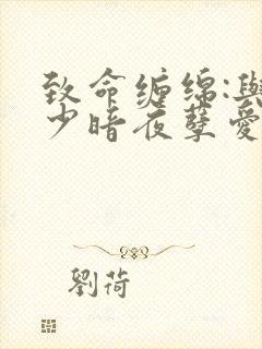 致命缠绵:与冷少暗夜孽爱