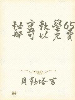 秘密教学65在哪可以免费阅读