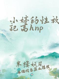 小婷的性放荡日记高hnp