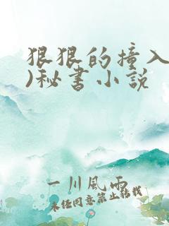 狠狠的撞入(h)秘书小说