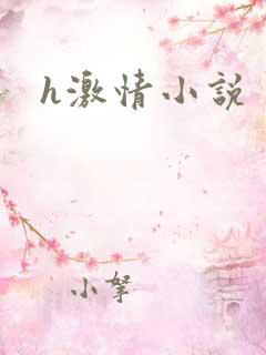 h激情小说