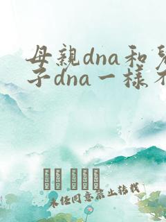 母亲dna和儿子dna一样不
