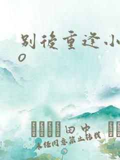 别后重逢小说po