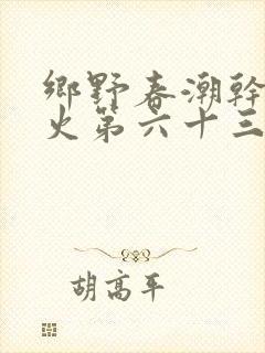 乡野春潮干柴烈火第六十三章