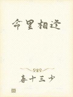 命里相逢