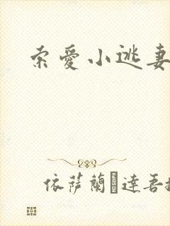 索爱小逃妻