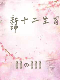 新十二生肖守护神