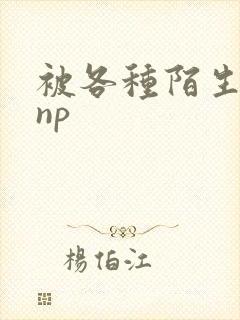 被各种陌生人 np