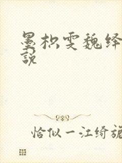 墨枳雯魏绎颔小说