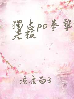 独占po拳击馆老板