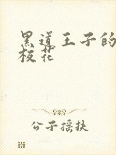 黑道王子的恶魔校花