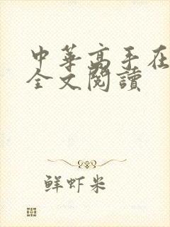 中华高手在异世全文阅读