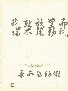 我就放里面不动你不用动我动