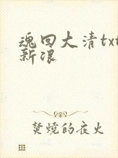 魂回大清txt新浪
