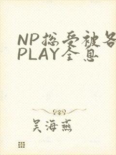 NP总受被各种PLAY全息