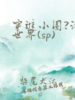 穿进小圈?游戏世界(sp)