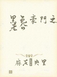 黑色豪门之王子老公