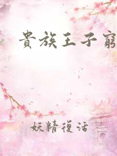 贵族王子穷公主