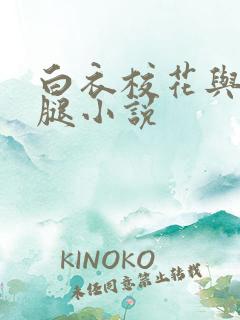 白衣校花与大长腿小说