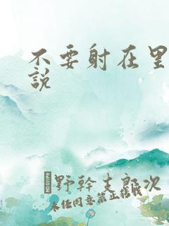不要射在里面小说