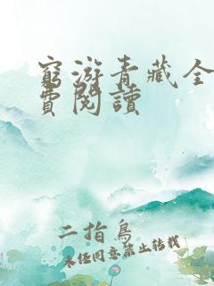 穷游青藏全文免费阅读