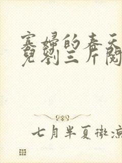 寡妇的春天白花儿刘三斤阅读