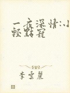 一夜深情:小叔轻点宠