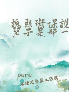 魏熙珊保护萧峥儿子是哪一集