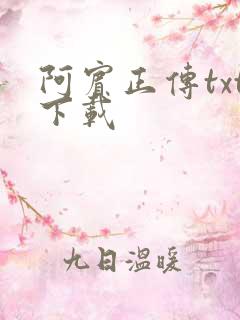 阿宾正传txt下载