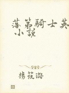 落第骑士英雄谭 小说