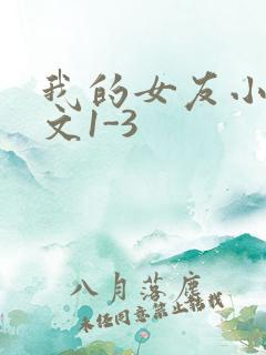 我的女友小洁全文1-3
