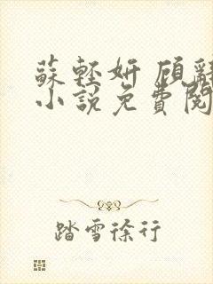 苏轻妍 顾辞笙小说免费阅读