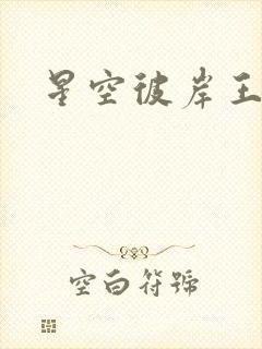星空彼岸王轩