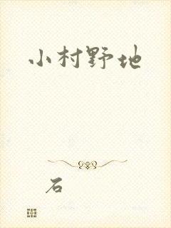 小村野地